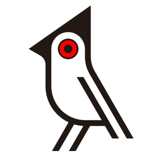 Bobo Bird South Africa