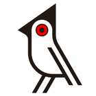 Bobo Bird South Africa